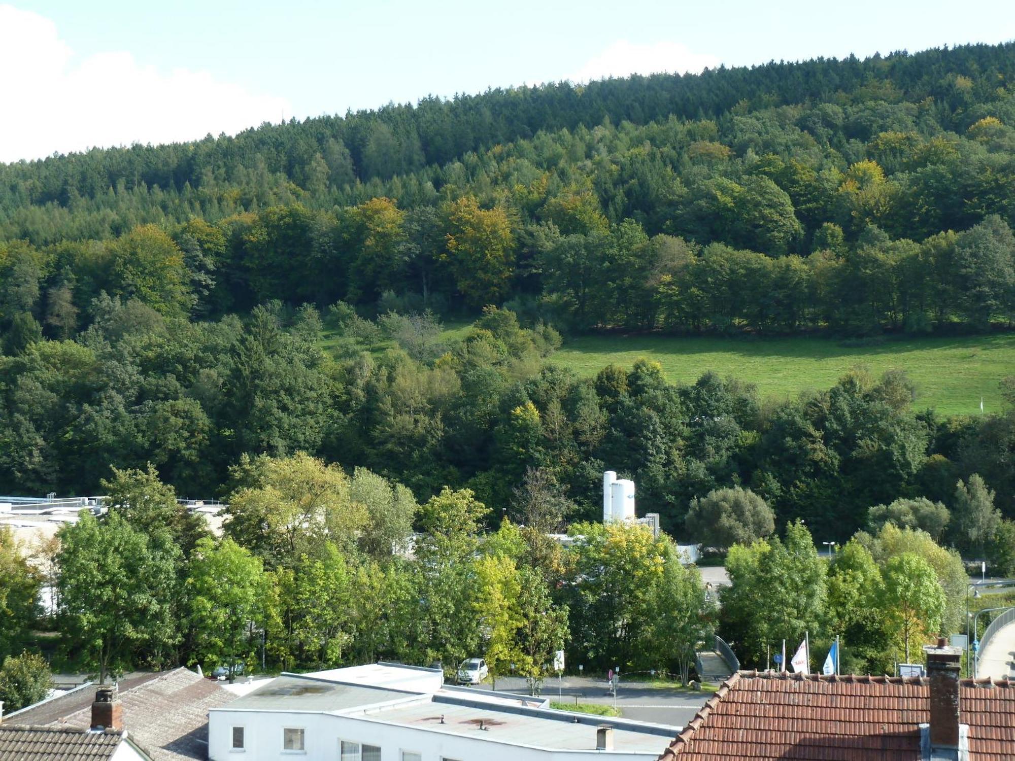Lina's Rhön Bad Brückenau Exterior foto