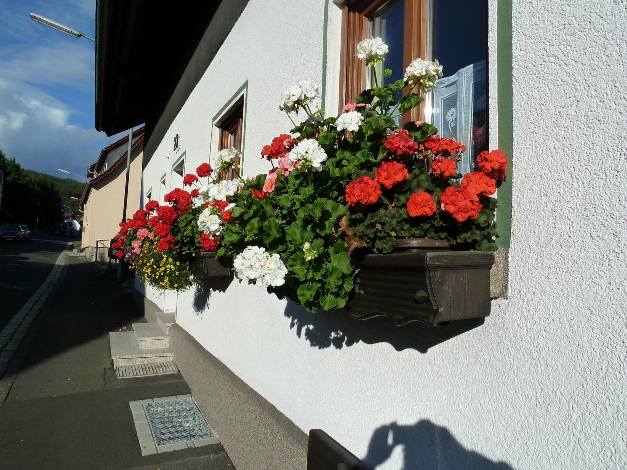 Lina's Rhön Bad Brückenau Exterior foto